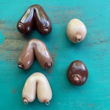 The Breast Magnet (You choose style)