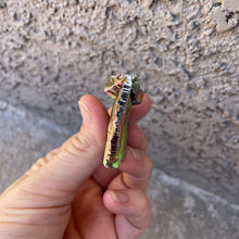 The Goddess’s Crystal: Bismuth