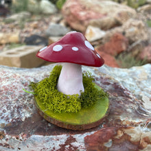 The Woodland Shroom