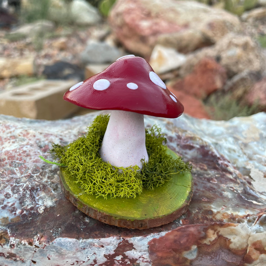 The Woodland Shroom
