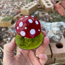 The Woodland Shroom