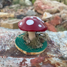 The Woodland Shroom