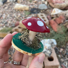 The Woodland Shroom