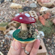 The Woodland Shroom