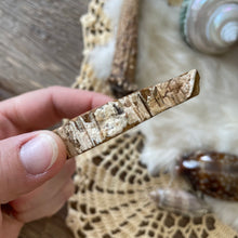 The Goddess’s Crystal: Petrified Wood (One Slice)