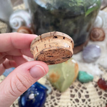 Sacred Moon Seconds: The Sea Turtle Stash Jar