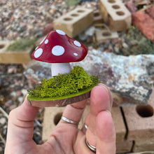 The Woodland Shroom