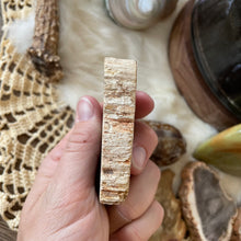 The Goddess’s Crystal: Petrified Wood (One Slice)
